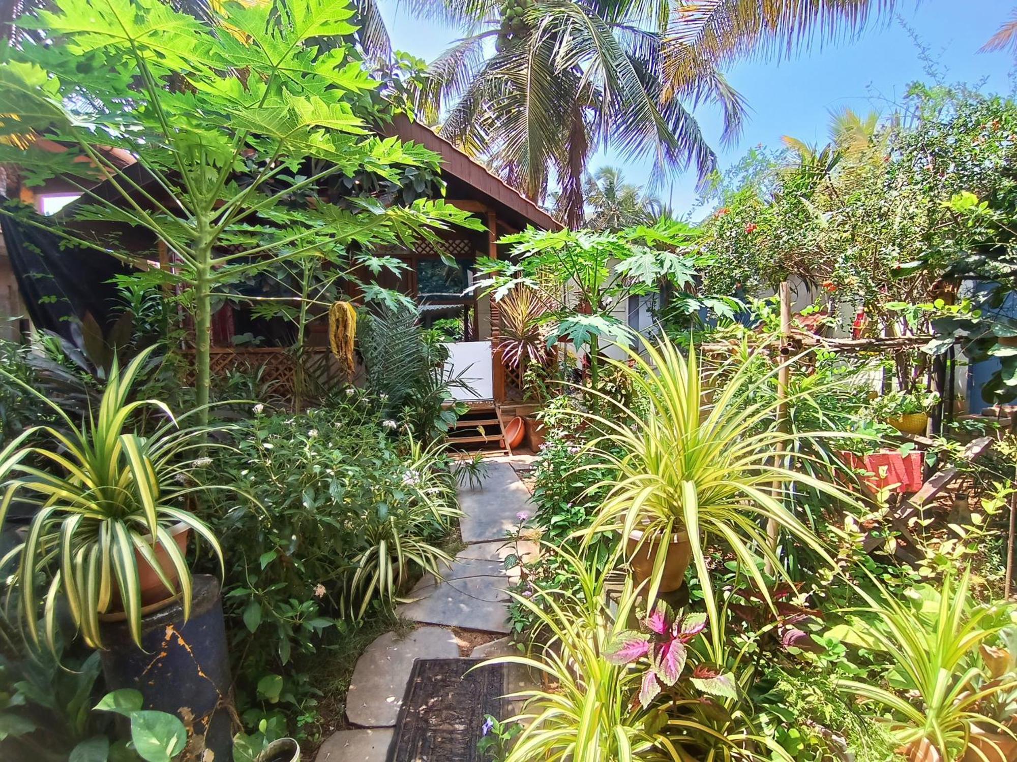 Hotel Monsoon Agonda Exterior foto